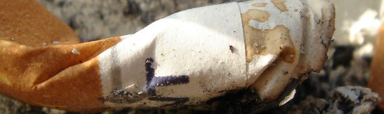 risky behavior, effects of smoking, causes of disease, effects of heavy drinking, active seniors