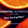 Essential Nutrients You May Be Lacking