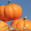 Health Benefits of Pumpkin