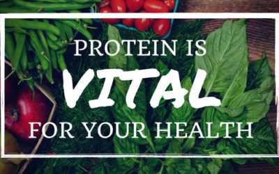 Protein is vital for vibrant health