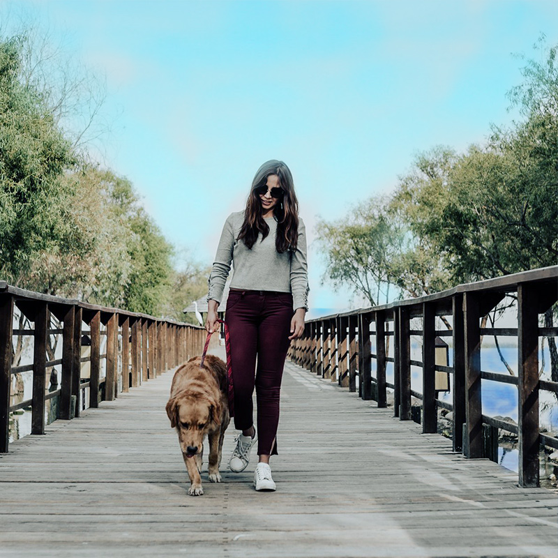 PPMA, Private Physicians Medical Association, concierge medicine, primary care doctors, newport beach, orange county, california