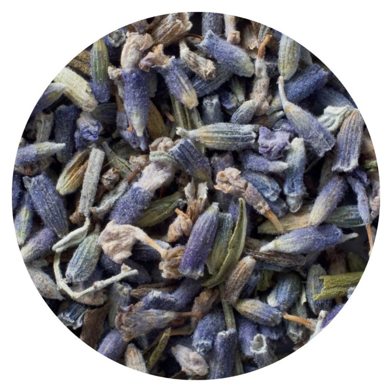 Close-up image of lavender flowers for preparing Lavender Lemonade naturally sweet healthy recipe ppma