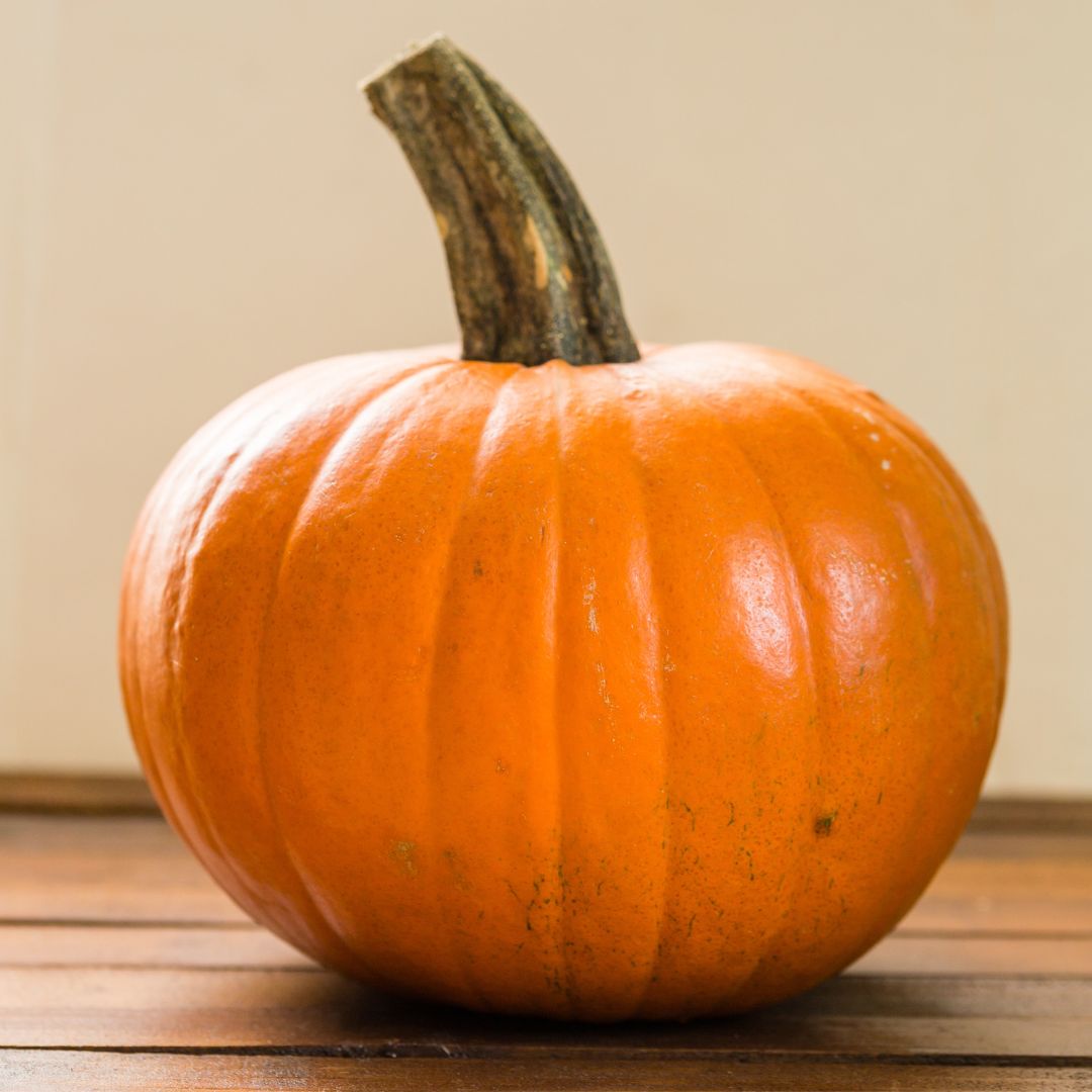 10.26.22-Pumpkin-cookies-01-pumpkin pumpkin cookies<br />