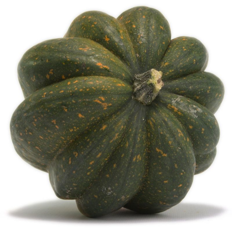 Image of a whole acorn squash on its side. Dark green with brown stem. For healthy recipe from PPMA private physicians medical associates