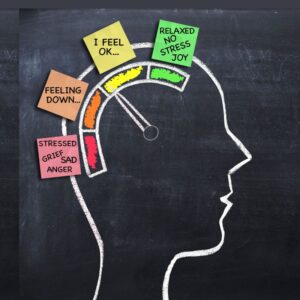 Image depicts a chalkboard-like background with a profile of human head. A color-coded dial with accompanying "stickies" describing each section of the brain: Green is "relaxed, no stress, joy;" yellow is "I feel ok...;" pale orange is "feeling down;" and pinkish-red is "stressed, grief, sad, and anger." Grief awareness and depression screening Private Physicians Medical Associates PPMA