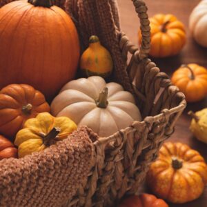 Image of different colored pumpkins in a basket and around the basket. PPMA. Private Physicians Medical Associates.