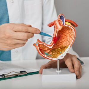Image shows the hands of a doctor as they point to a model of the human digestive system. rivate Physicians Medical Associates. PPMA.