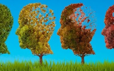 Nurturing Cognitive Health