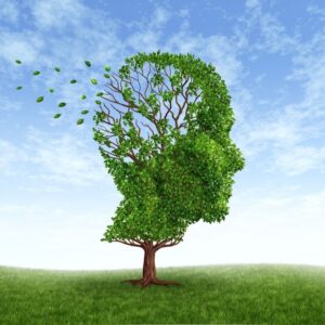An image of a lush green tree in the shape of a human head against a blue sky. Green leaves are flying of the tree, indicating memory loss. ppma