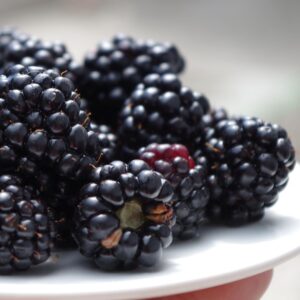 This is a white plate holding blackberries.