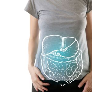 An image of a woman from the chest to the top of her thighs with a white overlay of digestive system and bladder to suggest probiotics for nurturing bladder health