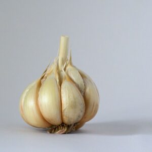 An image of a head of garlic against a blue-gray background