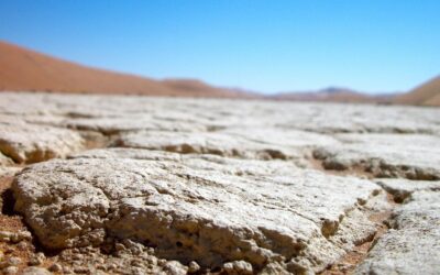 2% Dehydration: Small Drop, Big Impact