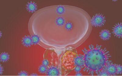 Proactive Prostate Health for Men’s Wellness | Nourish MD Podcast, S01 EP18