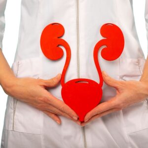 An image of a doctor holding a red model of the human urinary tract system. Pain Management Strategies for Fighting Inflammation