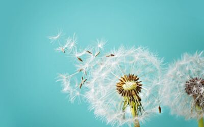 March into Wellness: Spring Forward with Healthy Habits at Our Medical Office