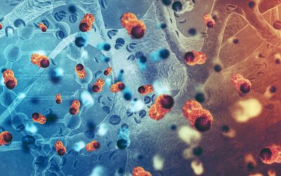 Cancer Prevention & Early Detection: A Lifesaving Approach