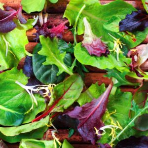 Mixed greens for healthy salad.