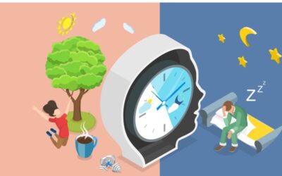 The Power of Your Circadian Rhythm: Supporting Blood Sugar, Energy, and Mood