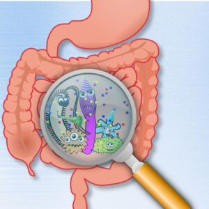 A graphic of gut microbes