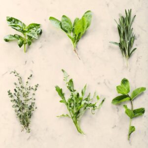 Fresh herbs