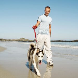 Man walking dog along shore. Why Gentle Daily Movement Matters for Long‑Term Health