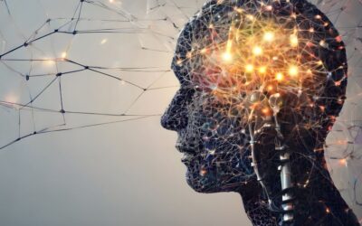 Brain Health Support: Key Supplements for Cognitive and Nervous System Health